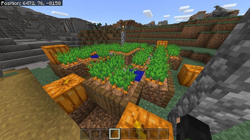 Как разводить лошадей в Minecraft0