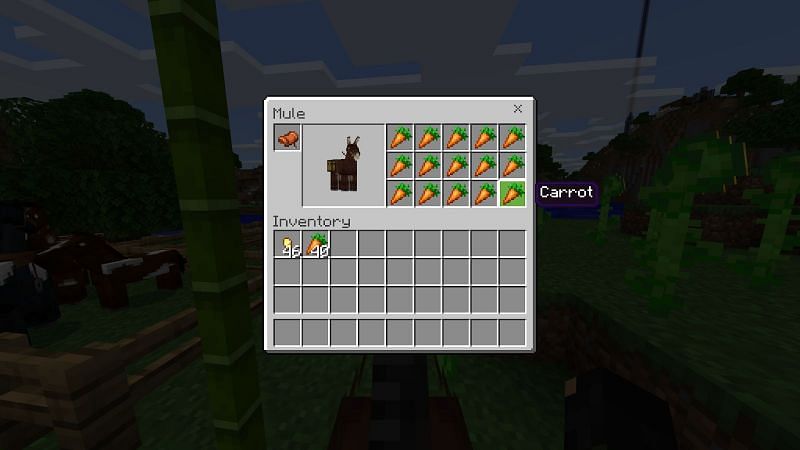 Как разводить лошадей в Minecraft7