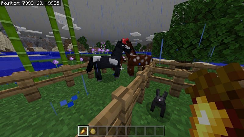 Как разводить лошадей в Minecraft4