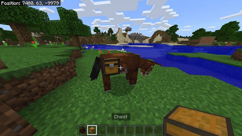Как разводить лошадей в Minecraft6
