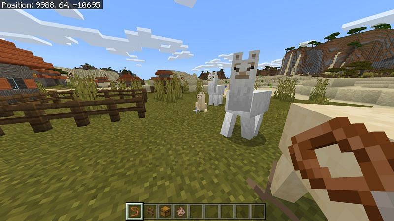 Как разводить лам в Minecraft5