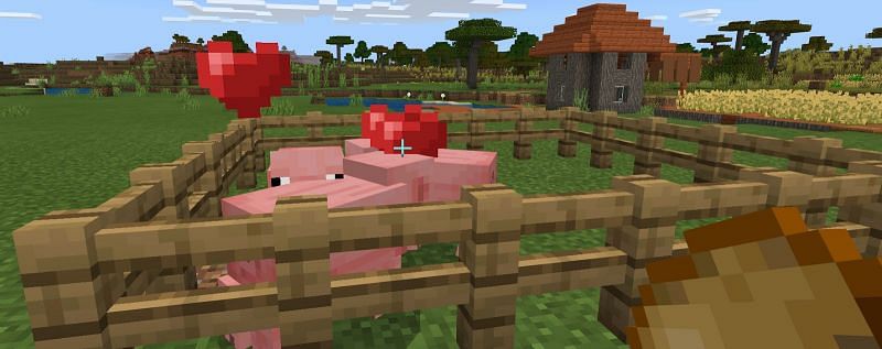 Как разводить свиней в Minecraft5