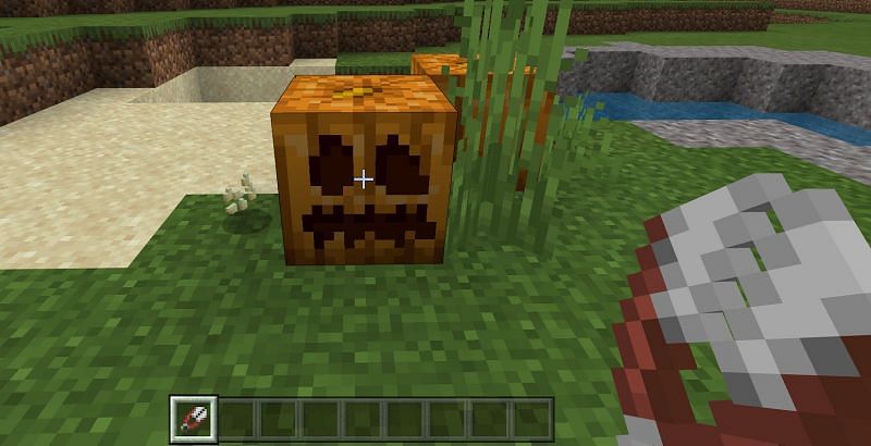 Как вырезать тыкву в Minecraft3