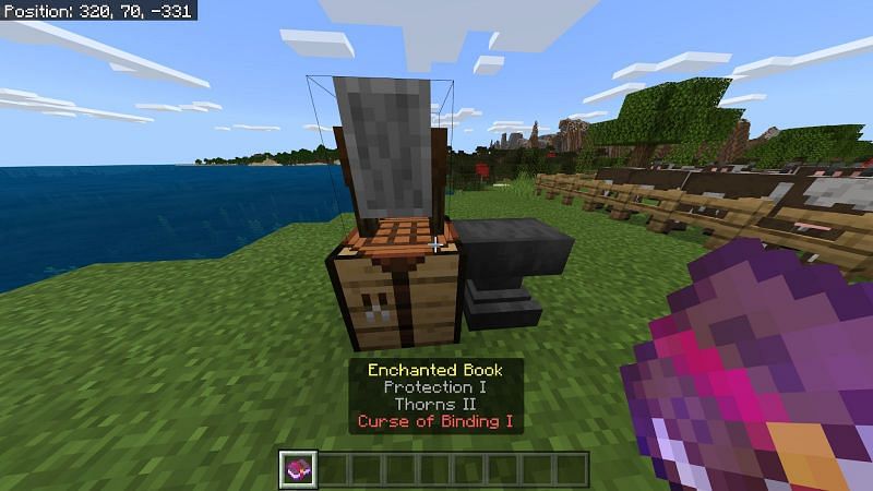 Как избавиться от чар в Minecraft0