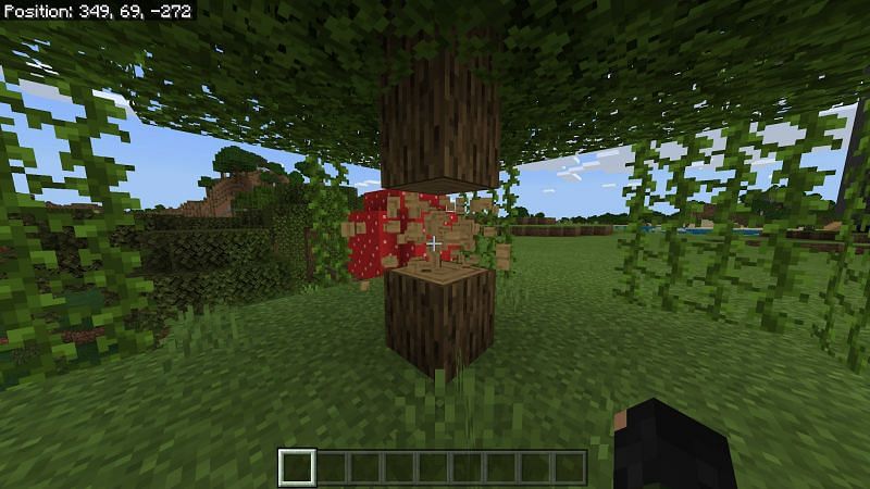 Как распылить в Minecraft6