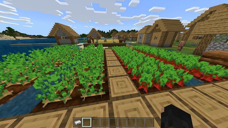 Как заниматься сельским хозяйством в Minecraft2