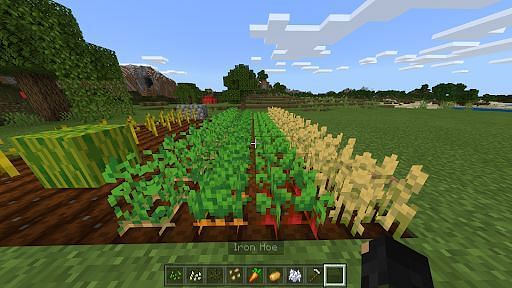 Как заниматься сельским хозяйством в Minecraft6