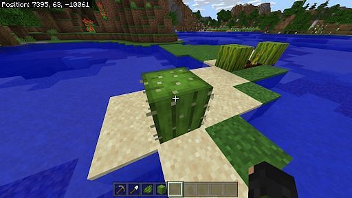 Как получить зеленый краситель в Minecraft6