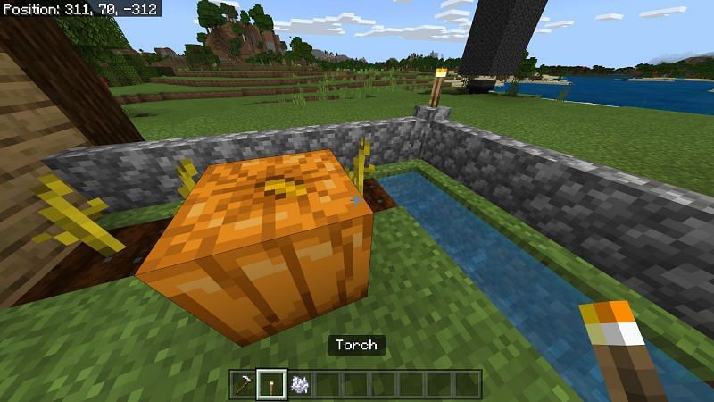 Как вырастить тыквы в Minecraft7